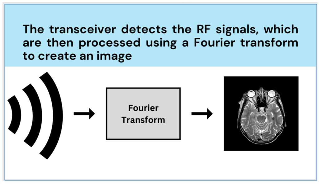 A redesigned slide titled "The transceiver detects the RF signals, which are then processed using a Fourier transform to create an image," accompanied by an illustration showing a "Fourier transform" as the midpoint between a signal and a brain scan image.